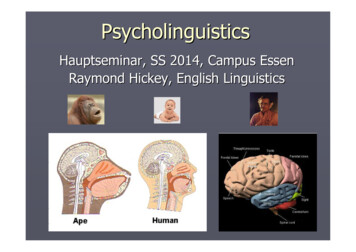 Hauptseminar, SS 2014, Campus Essen Raymond Hickey, English Linguistics