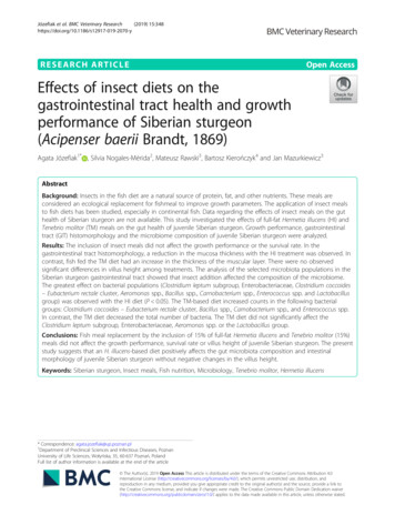 Effects Of Insect Diets On The Gastrointestinal Tract Health And Growth .