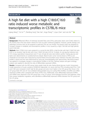 A High Fat Diet With A High C18:0/C16:0 Ratio Induced Worse Metabolic .