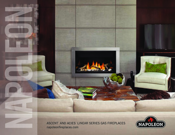 ASCENT AND ACIES LINEAR SERIES GAS FIREPLACES - Napoleon