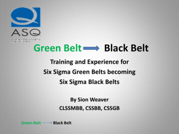 Green Belt Black Belt - Asq0511 