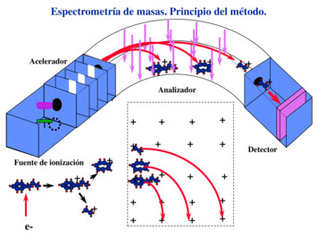 Espectrometría De Masas. Principio Del Método. - Orgfree 