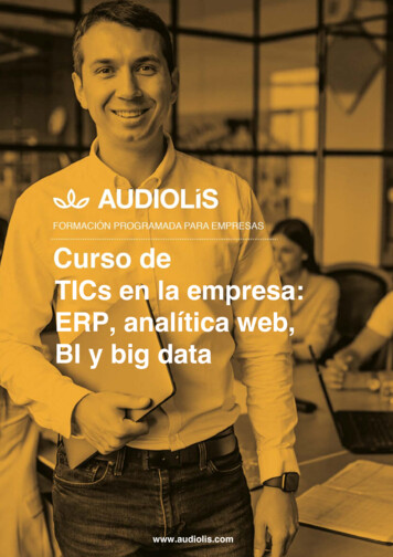 TICs En La Empresa: ERP, Analítica Web, BI Y Big Data