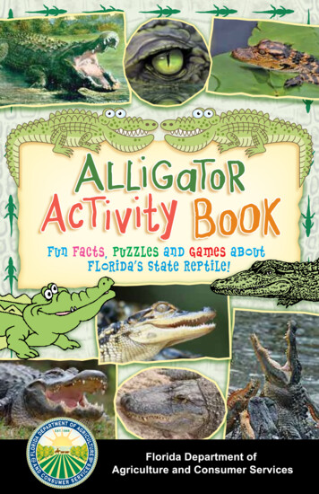 C A L Li G A R AA Vi Ti Vity B O - Florida Alligator