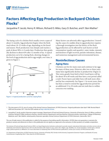 Factors Affecting Egg Production In Backyard Chicken Flocks