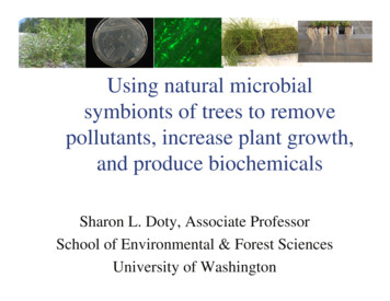 Using Natural Microbial Symbionts Of Trees To Remove Pollutants .