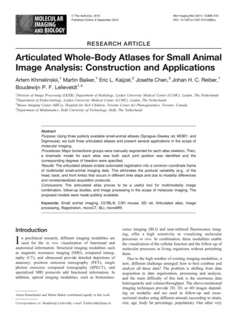 Articulated Whole-Body Atlases For Small Animal Image Analysis .