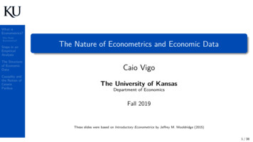 The Nature Of Econometrics And Economic Data - Caio Vigo