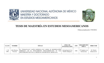 Tesis De Maestría En Estudios Mesoamericanos