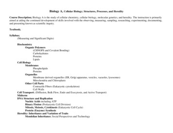 Biology A, Cellular Biology; Structures, Processes, And Heredity Textbook;