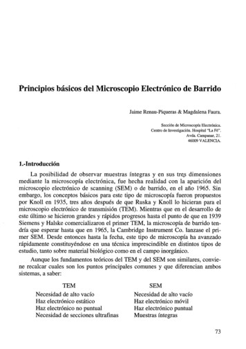 Principios Básicos Del Microscopio Electrónico De Barrido - CORE