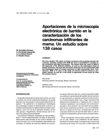 Aportaciones De La Microscopia Electrónica De Barrido En La . - SESPM