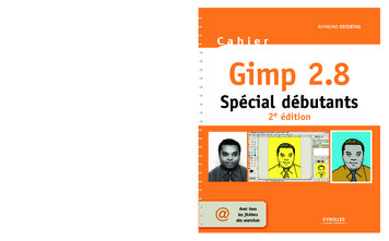 Cahier Gimp 2.8 Spécial Débutants 2e édition - Fnac