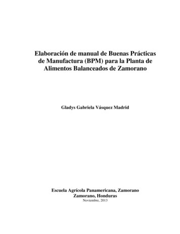 Elaboración De Manual De Buenas Prácticas De Manufactura (BPM) Para La .