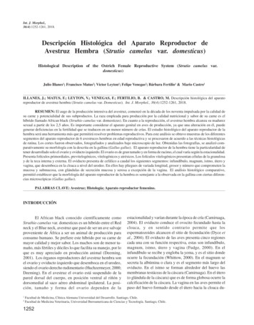 Descripción Histológica Del Aparato Reproductor De Avestruz Hembra .