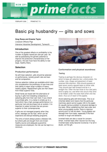 Basic Pig Husbandry - Gilts And Sows - Department Of Primary Industries