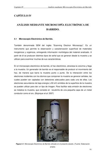 Capítulo Iv Análisis Mediante Microscopía Electrónica De Barrido.