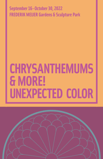 Chrysanthemums & More! Unexpected Color