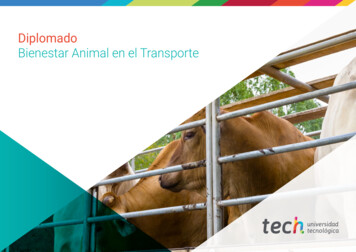 Diplomado Bienestar Animal En El Transporte - Techtitute