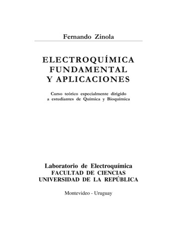 Electroquímica Fundamental Y Aplicaciones