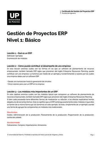 Gestión De Proyectos ERP Nivel 1: Básico - Palermo
