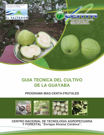 Gguia Tecnica Del Cultivo Uia Tecnica Del Cultivo Dde La Guayabae La .