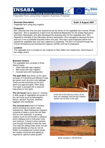 Vegetable Farm Using Drip Irrigation Business Proposal . - TECHNOSOL