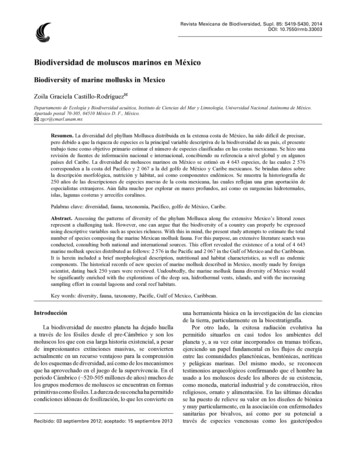 Biodiversidad De Moluscos Marinos En México - SciELO