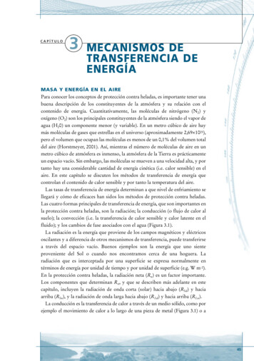Capítulo Mecanismos De Transferencia De Energía
