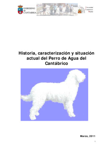 Historia, Caracterización Y Situación Actual Del Perro De Agua Del .