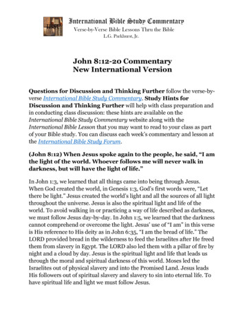 John 8:12-20 Commentary New International Version