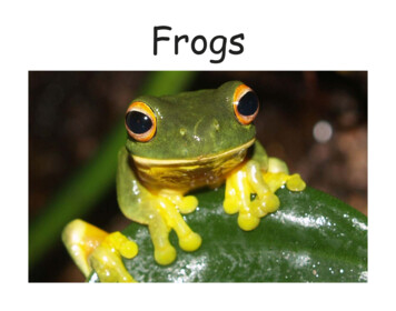 Frogs - Free Kids Books