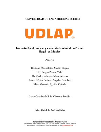 Impacto Fiscal Por Uso Y Comercialización De Software Ilegal En México