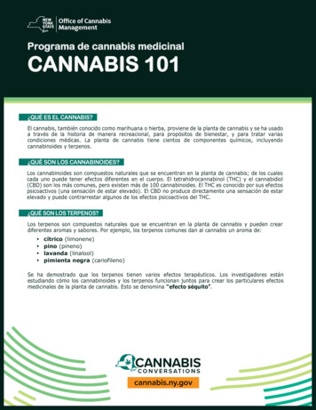 Programa De Cannabis Medicinal CANNABIS 101