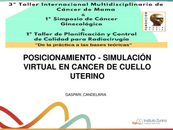 Posicionamiento - Simulación Virtual En Cancer De Cuello Uterino