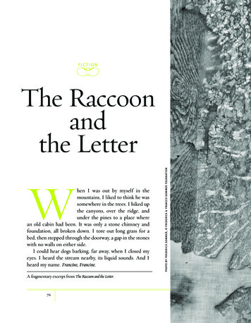 B FICTION B The Raccoon And The Letter - Peter Rock Project