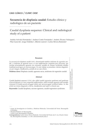 Secuencia De Displasia Caudal: Estudio Clínico Y Radiológico De Un .