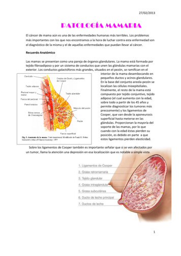 Patología Mamaria - Ucm