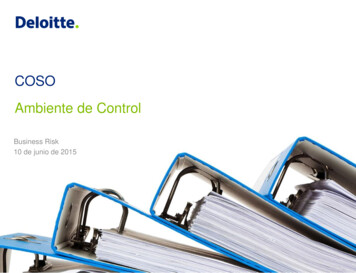 COSO Ambiente De Control - Deloitte