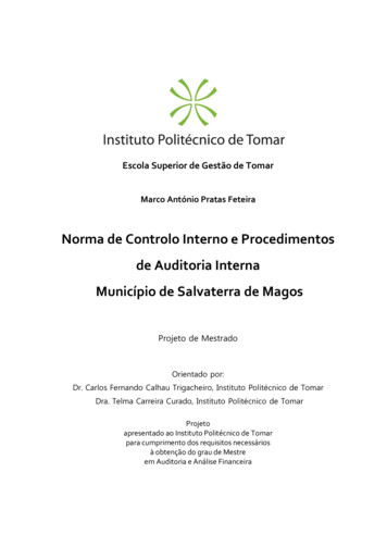 Norma De Controlo Interno E Procedimentos De Auditoria Interna .
