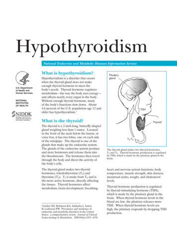 Hypothyroidism - National Institute Of Diabetes And Digestive And .