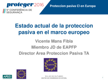 Estado Actual De La Proteccion Pasiva En El Marco Europeo