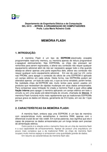 MEMÓRIA FLASH - Edisciplinas.usp.br