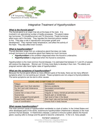 Integrative Treatment Of Hypothyroidism - UW Family Medicine .