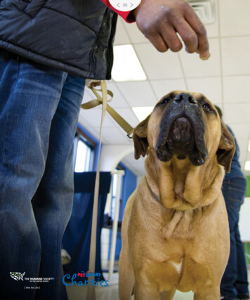 Dog Training Classes - HumanePro