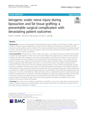 Iatrogenic Sciatic Nerve Injury During Liposuction And Fat Tissue .