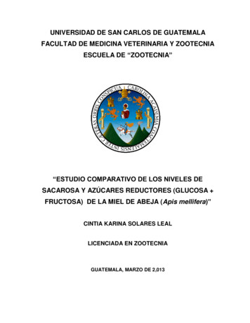 Universidad De San Carlos De Guatemala Facultad De Medicina . - Usac