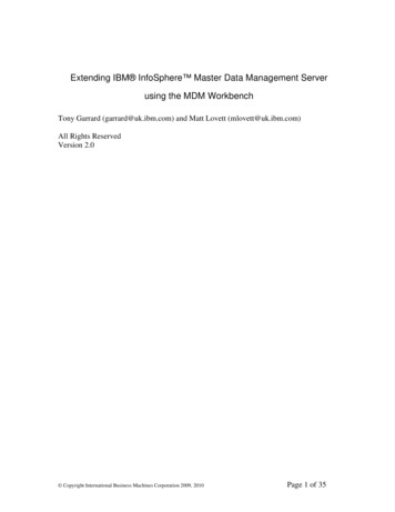 Extending IBM InfoSphere Master Data Management 