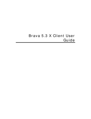 Brava 5.3 X Client User Guide - Smgov 