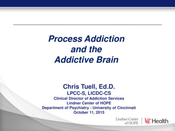 Process Addiction And The Addictive Brain